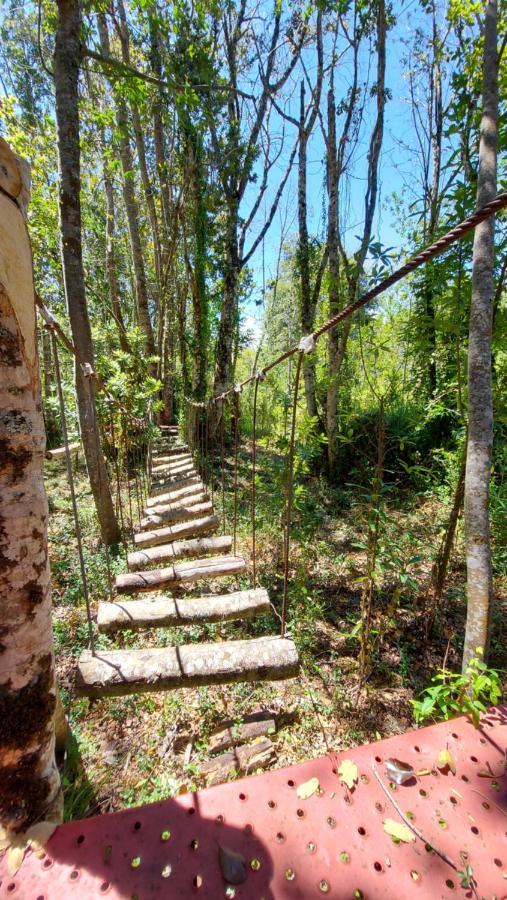 Hotel Lodge Las Cascadas Puerto Clocker 外观 照片