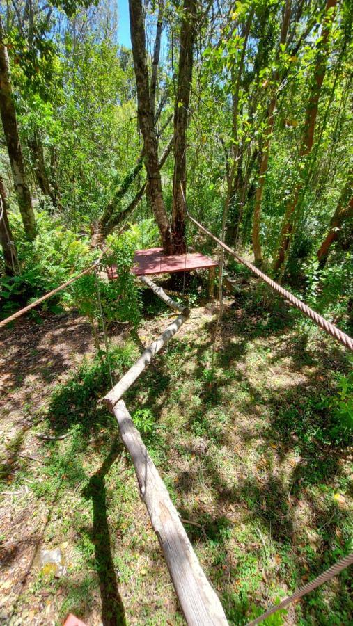 Hotel Lodge Las Cascadas Puerto Clocker 外观 照片