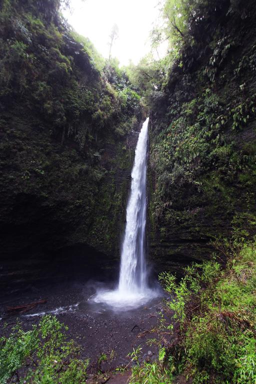 Hotel Lodge Las Cascadas Puerto Clocker 外观 照片